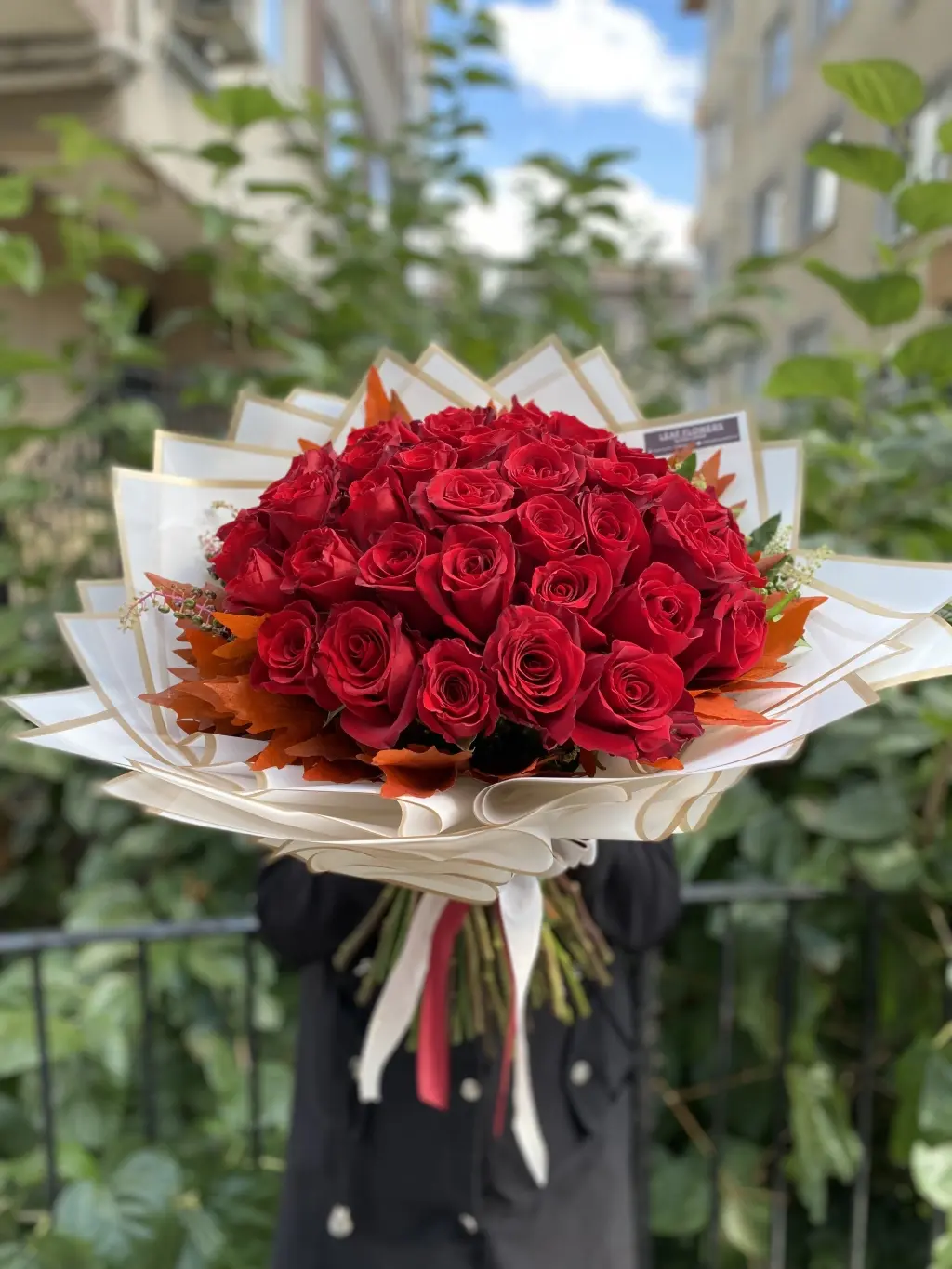 Gül Yapraklarının Sararmasının Nedenleri